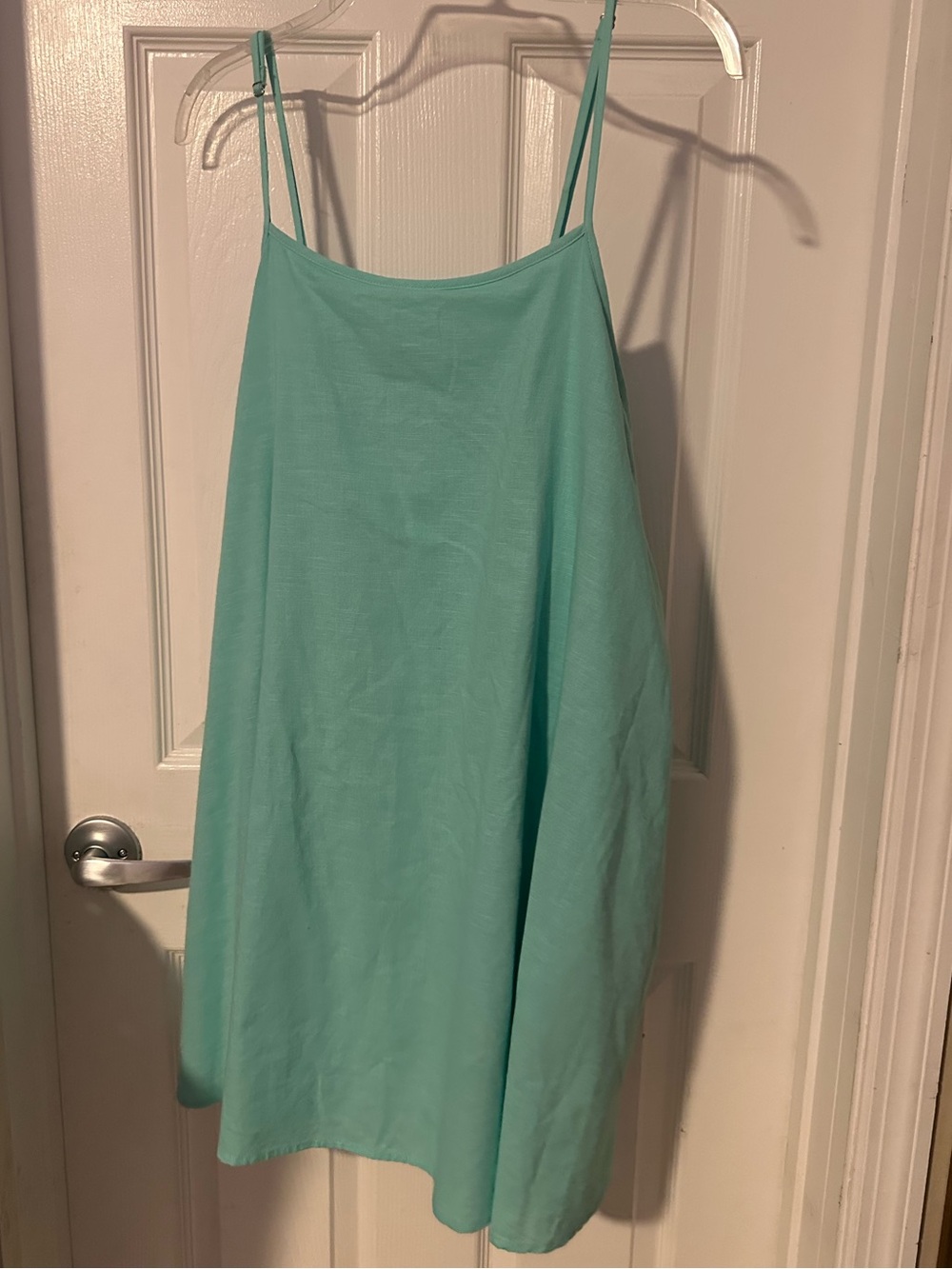Petal + Pup Cloella Mini Dress Aqua Size L